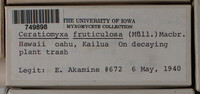 Image Associated With the Occurence